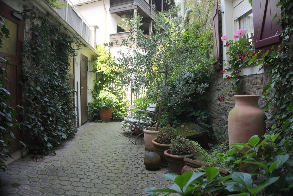 Hotel Garni Altes Winzerhaus Moselschaenke Kobern-Gondorf Esterno foto